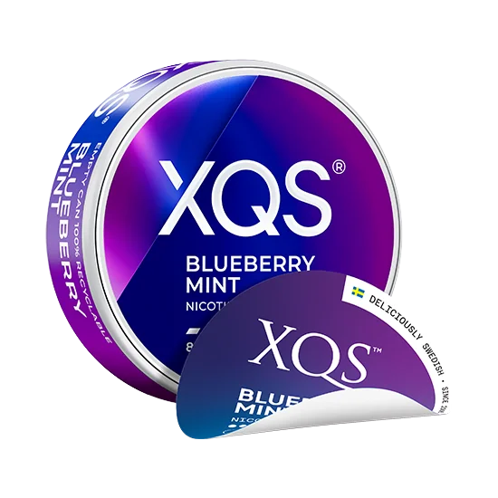 xqs blueberry mint - 8mg (strong) nicotine pouches