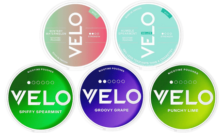 velo mini (6 mg) bundle nicotine pouches