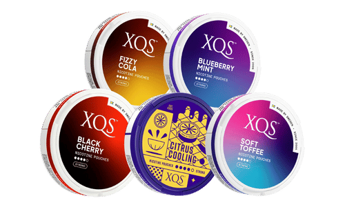 xqs 8mg bundle nicotine pouches