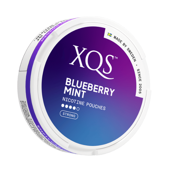 xqs blueberry mint - 8mg (strong) nicotine pouches