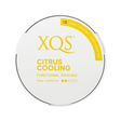 xqs citrus cooling 0 percent nicotine pouches